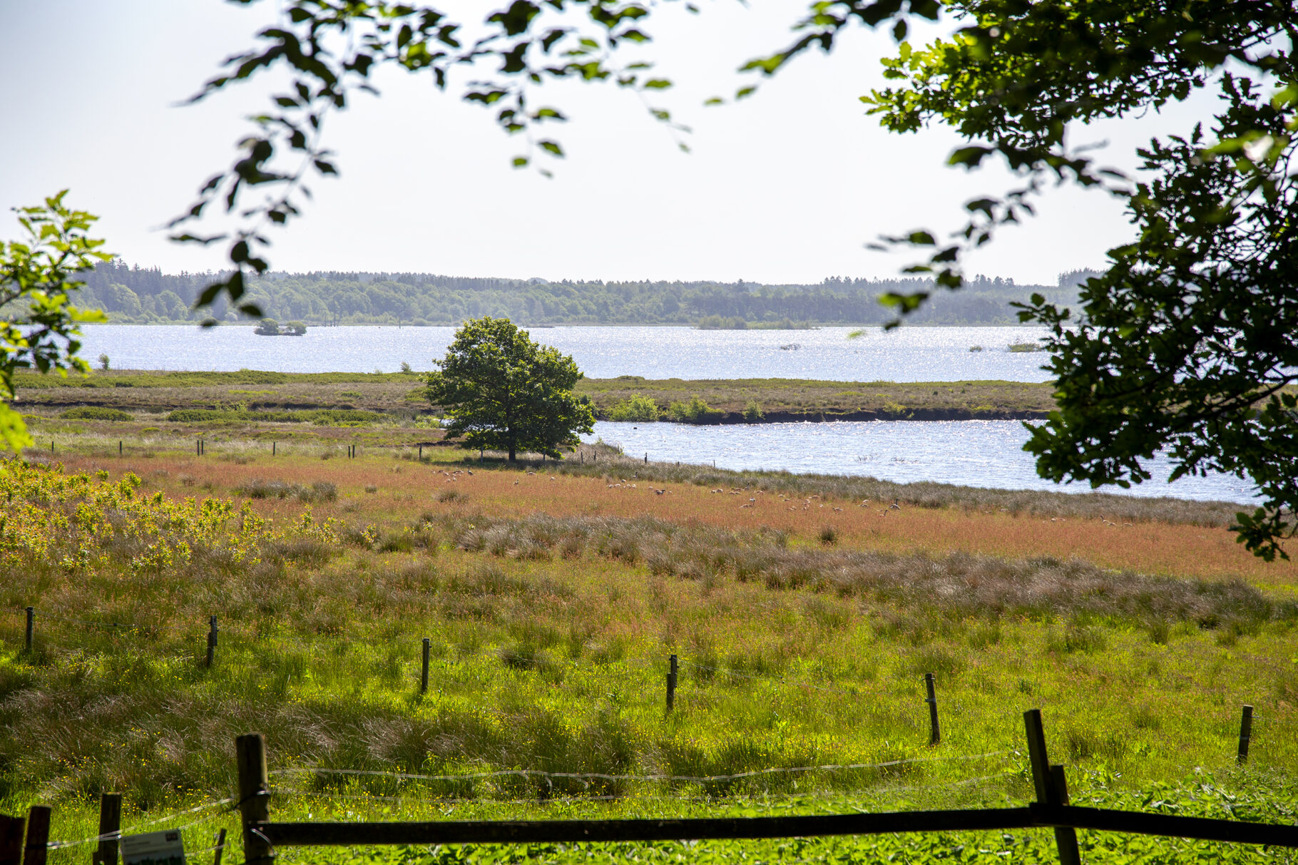 Bølling Sø Klosterlund Museum